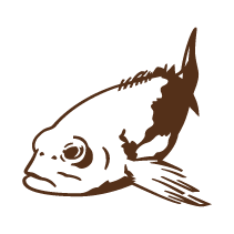 Fish 3