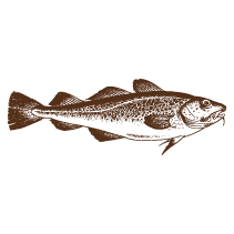 Fish 4