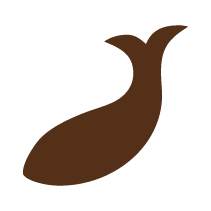 Fish 5