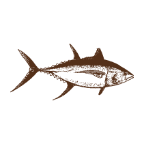 Fish 6