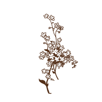 Floral 11