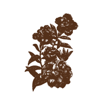 Floral 15