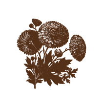 Floral 16