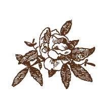 Floral 17