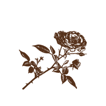 Floral 18
