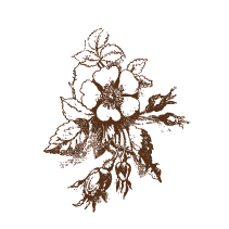Floral 2