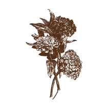 Floral 21
