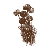 Floral 22