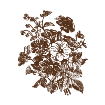 Floral 23