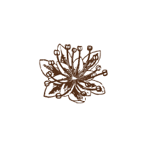 Floral 24