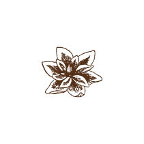 Floral 25
