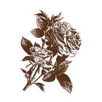 Floral 5