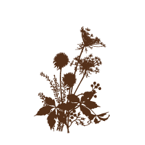 Floral 7