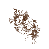 Floral 8