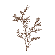 Floral 9