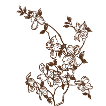 Floral 26