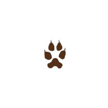 Fox Print