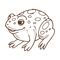Frog 2