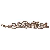 Grapes 7