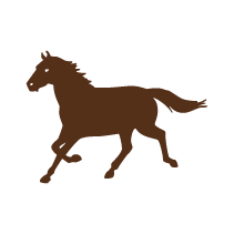 Horse 3