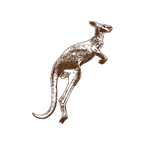 Kangaroo 2