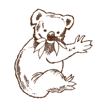 Koala