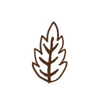 Leaf 1