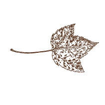 Leaf 2