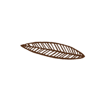 Leaf 4