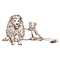 Lion and Cubs