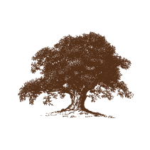 Oak Tree