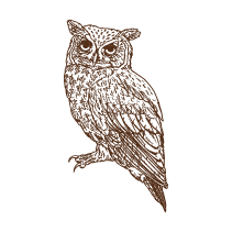 Owl 2