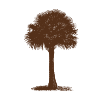 Palm Tree 1