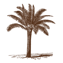 Palm Tree 3
