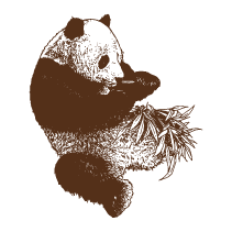Panda 1