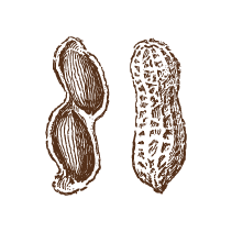 Peanuts