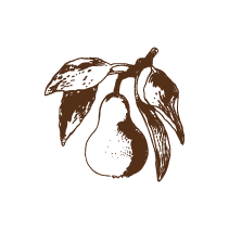 Pear