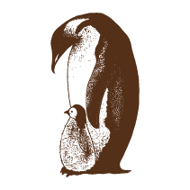 Penguins
