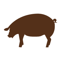 Pig 2