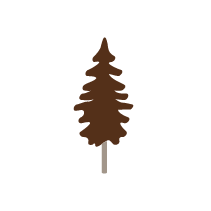 Pine