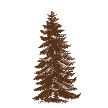 Pinetree