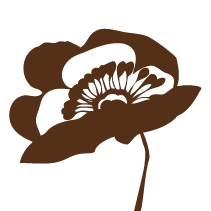 Poppy