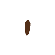 Rabbit Print