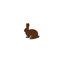 Rabbit 3