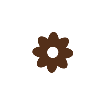 Rangoli 2