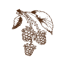 Raspberries