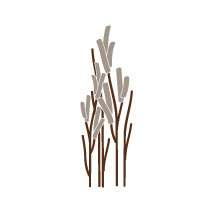 Sea Grass