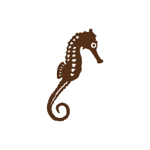Seahorse 1