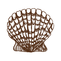 Shell 2