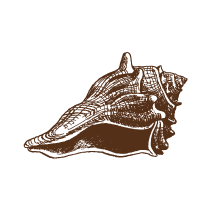 Shell 4